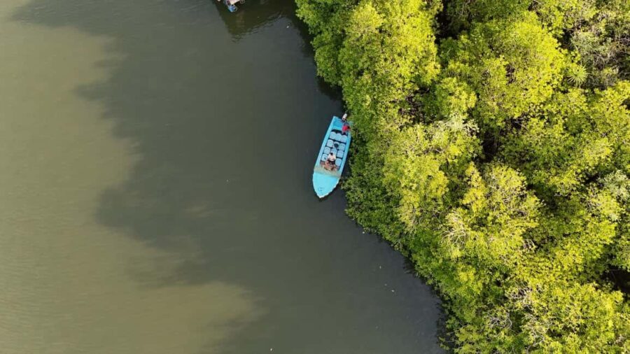 Madu River Boat Cruise & Cinnamon Garden All Inclusive Tour - Cinnamon Garden Visit: Fragrant and Educational