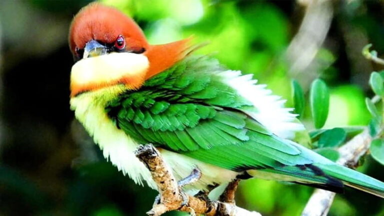 Maduru Oya National Park Private Safari - Why This Safari Offers Great Value