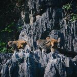 Magical Halong Bay Escape 4-Hour Cruise with Kayak & Cave Visit - Why This Tour Works