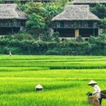 Mai Chau Full Day Shared Group Tour - Practical Details and What It Means for You