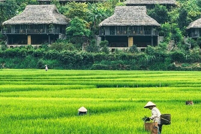 Mai Chau Full Day Shared Group Tour - Practical Details and What It Means for You