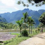 Mai Chau Nature Day Trip Hidden Charm & Minorities Village - Transport & Group Dynamics
