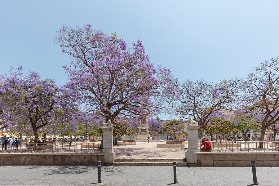 Plaza de la Merced in Malaga with the obelisk and Casa Natal Picasso building