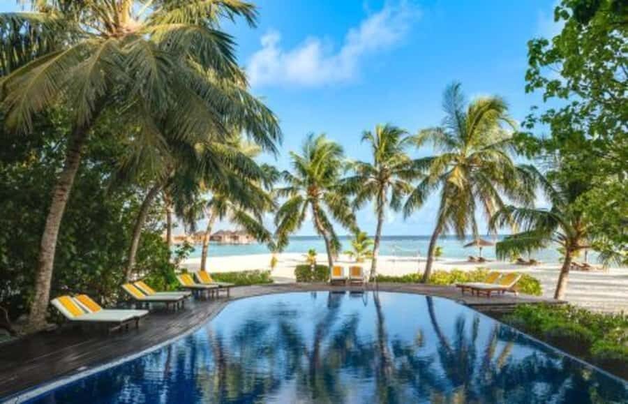 Maldives: Adhaaran Resort Day Pass with Lunch or Dinner - Activities and Relaxation