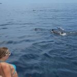 Maldives, Dhiffushi Shared Sunset Dolphin Cruise - What You Can Expect from This Sunset Dolphin Cruise