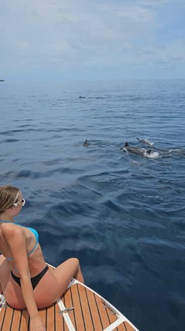 Maldives, Dhiffushi Shared Sunset Dolphin Cruise - What You Can Expect from This Sunset Dolphin Cruise