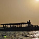 Maldives: Sandbank, Snorkelling & Sunset Cruise - Transport and Group Dynamics