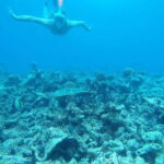 Malé: Two-Point Snorkelling Adventure - What’s Included and What to Consider