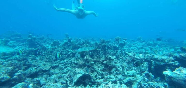Malé: Two-Point Snorkelling Adventure - What’s Included and What to Consider