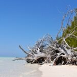 Mamma Gal Celeb-Key Native Exp. Shared Tour - Why This Tour Offers Great Value