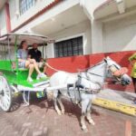 Manila: Intramuros Tour 6 hours CITY TOUR with PRIVATE CAR - What Makes This Tour Stand Out?