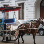 Manila: Sightseeing and Food Walking Tour with Tastings - Local Transportation: Moving Like a Manila Local