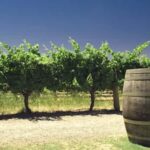 Margaret River Private Day Tour from Perth - Exploring the Itinerary