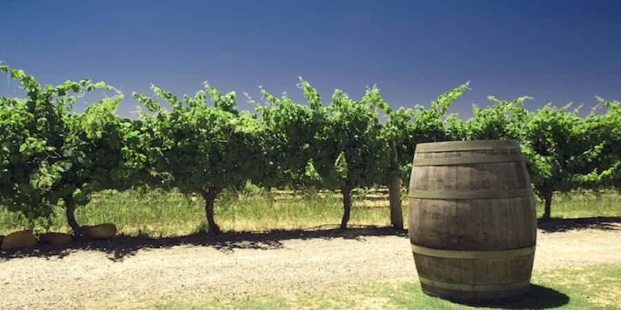 Margaret River Private Day Tour from Perth - Exploring the Itinerary