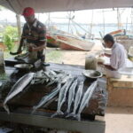 Market Tour and Sri Lankan Cooking Class inside Galle Fort - Exploring the Galle Fort Market Tour and Cooking Class