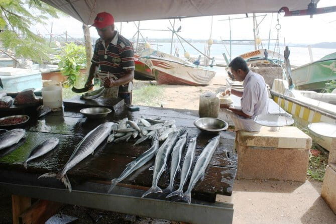 Market Tour and Sri Lankan Cooking Class inside Galle Fort - Exploring the Galle Fort Market Tour and Cooking Class
