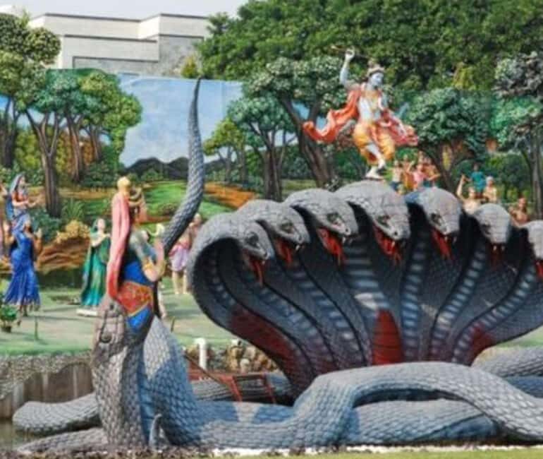 Mathura Vrindavan Tour With Nidhivan Temple - Delhi/Agra - Transport, timing, and overall experience