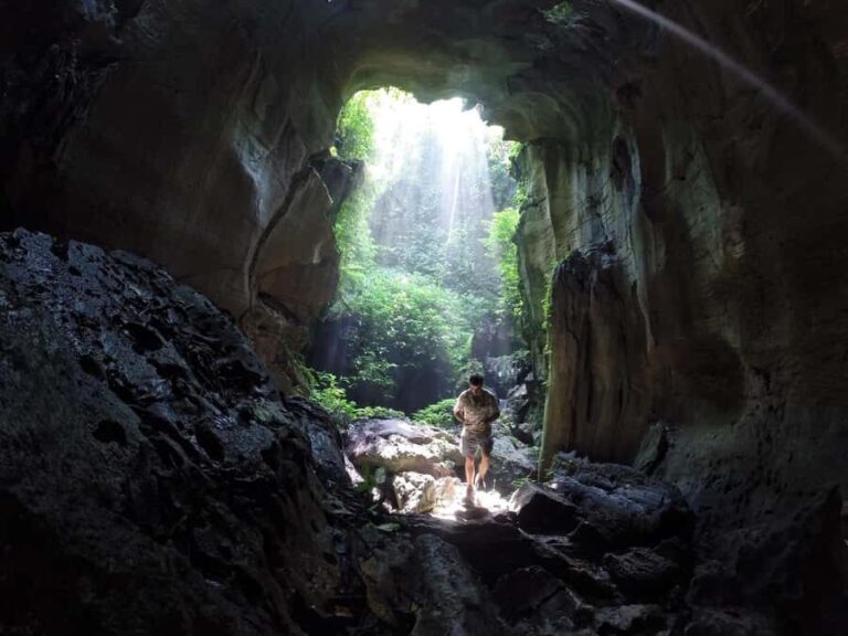 Medan: Bat Cave Exploration and Riverside Picnic - The Jungle Trek and Bat Cave Exploration