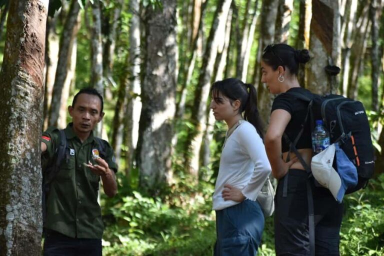 Medan: Bukit Lawang & Berastagi 5-Day Adventure Tour - Exploring Gunung Leuser: A Wild Encounter