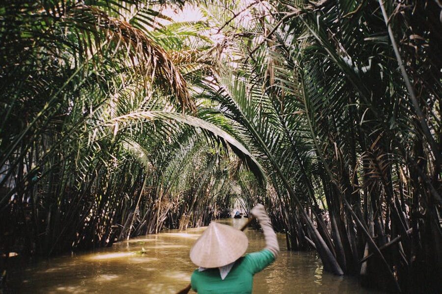 Boat ride through lush palm groves in the Mekong Delta, Vietnam