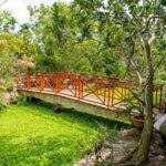 Mekong Delta Tour with Kayaking, Cycling and Cooking - Exploring the Itinerary in Detail