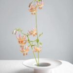 Melbourne CBD: Japanese Ikebana Flower Arrangement Workshop - The Setting and Accessibility