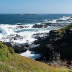Melbourne: Penguin Parade & Phillip Island Scenic Day Tour - What to Expect from the Tour