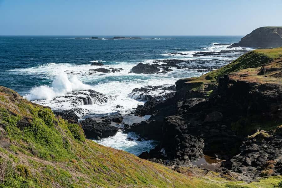 Melbourne: Penguin Parade & Phillip Island Scenic Day Tour - What to Expect from the Tour