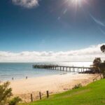 Melbourne Phillip Island Private Tour with Penguin - The Experience from Reviews