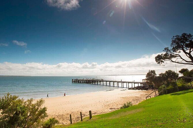 Melbourne Phillip Island Private Tour with Penguin - The Experience from Reviews