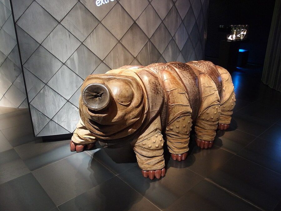 Micropia microbe museum entrance ARTIS Amsterdam