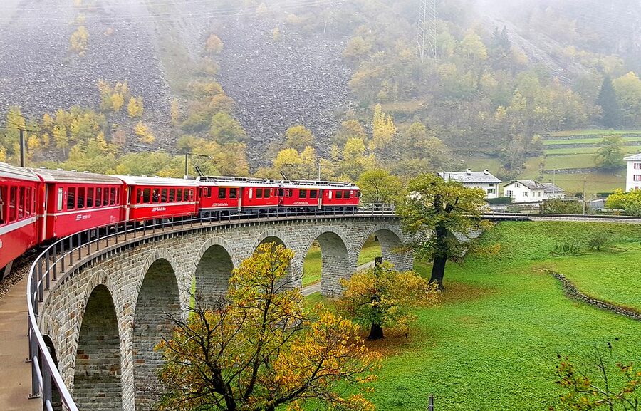 View from Bernina Express train window across Swiss alpine forest landscape