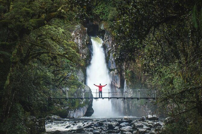 Milford Sound Nature Cruise and Self-Guided Scenic Track Walk - FAQ