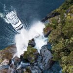 Milford Sound: Nature Cruise - Grand Views & Optional Lunch - Who Will Love This Experience?