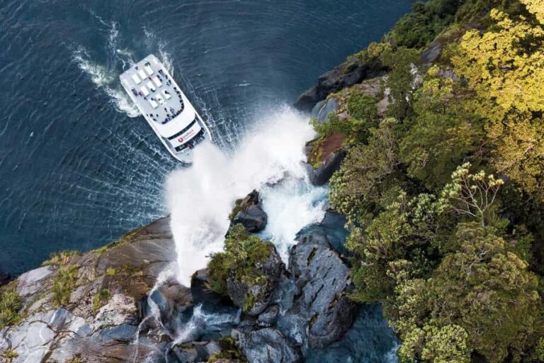 Milford Sound: Nature Cruise - Grand Views & Optional Lunch - Who Will Love This Experience?