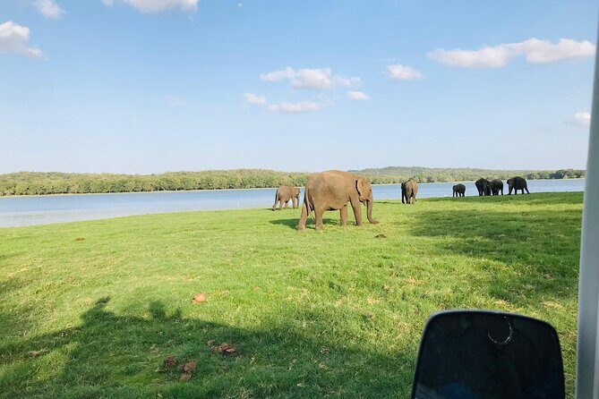 Minneriya And Kaudulla National Park Safari- From Sigiriya - Why This Safari Is a Great Choice