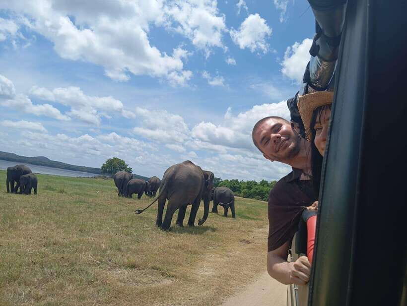 Minneriya: Half-Day Morning or Evening Jeep Safari - What to Expect on the Minneriya Safari