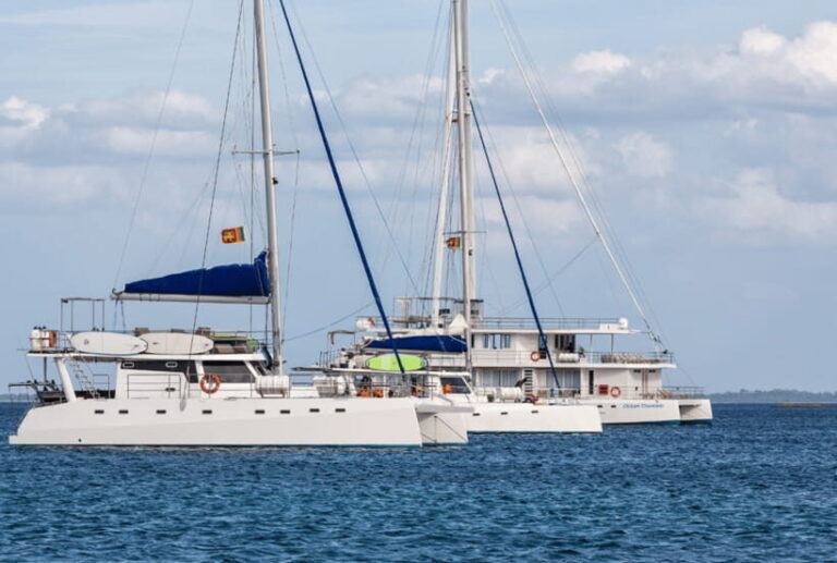 Mirissa: Luxury Sailing Boat Dolphin and Whale Watching - Why This Tour Stands Out