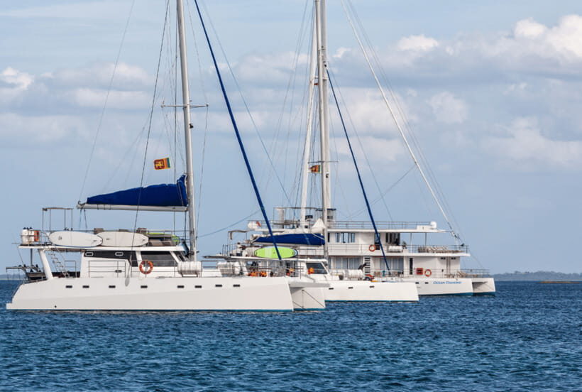 Mirissa: Luxury Sailing Boat Dolphin and Whale Watching - Why This Tour Stands Out