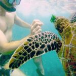 Mirissa Snorkeling Experience with Turtles - Logistics and Practical Details