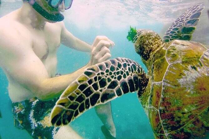 Mirissa Snorkeling Experience with Turtles - Logistics and Practical Details