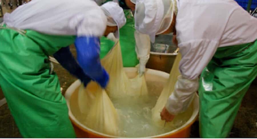 Miyagi: Hagino Sake Brewery Tour and Tasting - Final Thoughts: A Genuine Look at Sake Craftsmanship