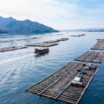 Miyajima Guided Tour and Fresh Oyster Farm Tour - Frequently Asked Questions