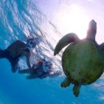Miyakojima CharteredWith drone photographyClear SUP & Sea Turtle Snorkel TourNo additional chargeFull refund guaranteeFree rental and photography - Detailed Tour Breakdown