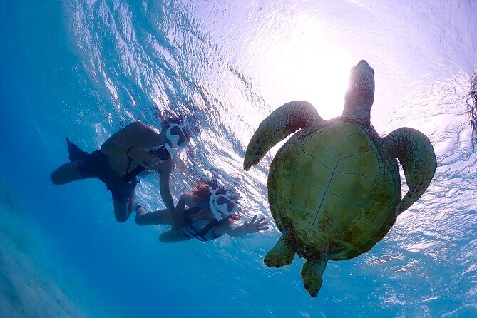 Miyakojima CharteredWith drone photographyClear SUP & Sea Turtle Snorkel TourNo additional chargeFull refund guaranteeFree rental and photography - Detailed Tour Breakdown