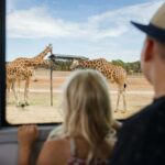 Monarto Safari Park: General Admission Tickets - The Review from Real Visitors