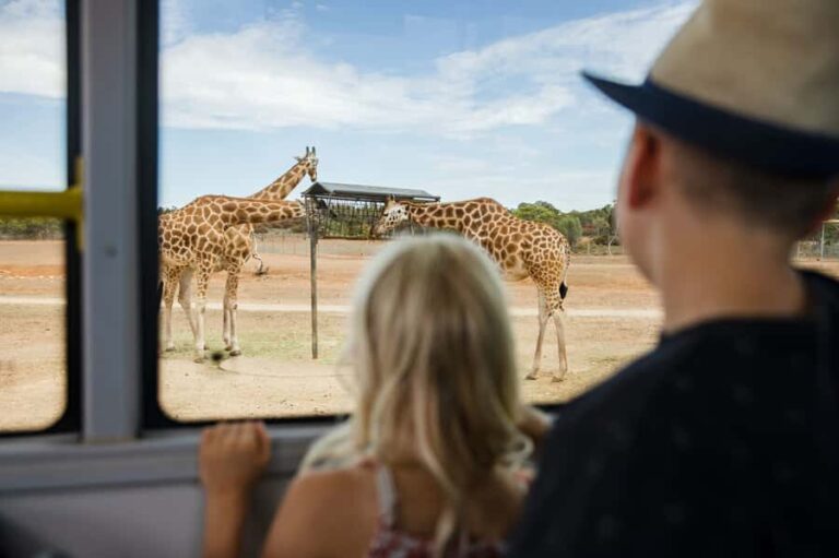Monarto Safari Park: General Admission Tickets - The Review from Real Visitors