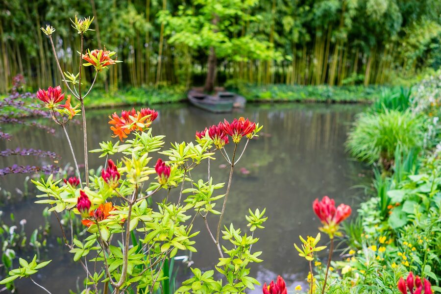 Monet's water garden pond with lilies at Giverny France
