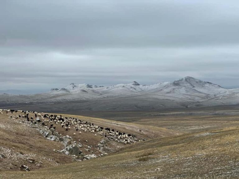 Mongolia: Overnight Nomadic Herders Experience - What to Expect: A Step-by-Step Breakdown