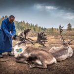 Mongolia: Tsaatan Tribe and Lake Khövsgöl 8-Day Tour - What to Expect in Terms of Comfort and Practicalities